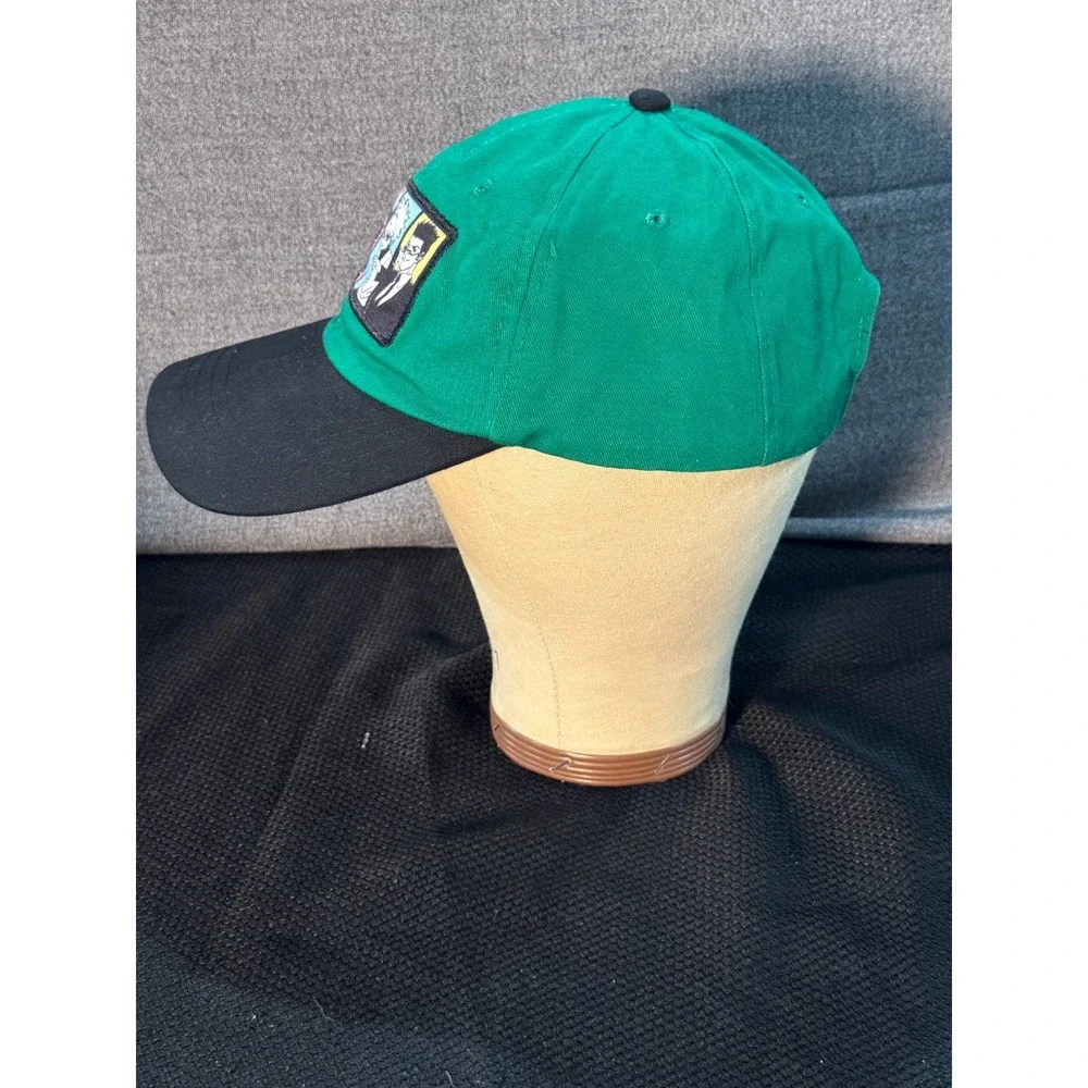 CultureFly Hunter X Hunter Cap Boys One Size Green Anime Manga Adjustable Hat